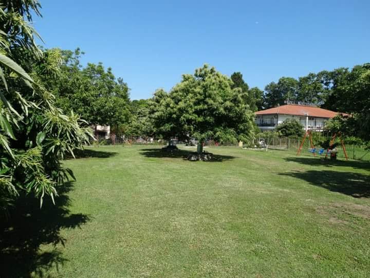 Apartments Stilos Ioannis Paralía Skotínis Extérieur photo